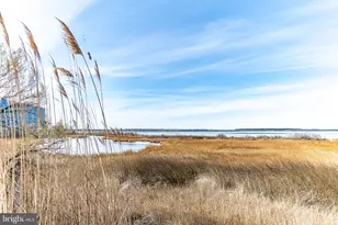 4201 Ocean Hwy, Ocean City, MD 21842 - Photo 69