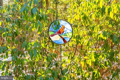 29 Pinehurst Road, Ocean Pines, MD 21811 - Photo 61