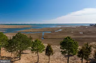 12135 Landings Blvd, Berlin, MD 21811 - Photo 51