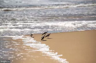 9 129th St, Ocean City, MD 21842 - Photo 31