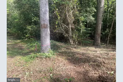 Wildwood Trail (Lot 22), Pocomoke City, MD 21851 - Photo 13