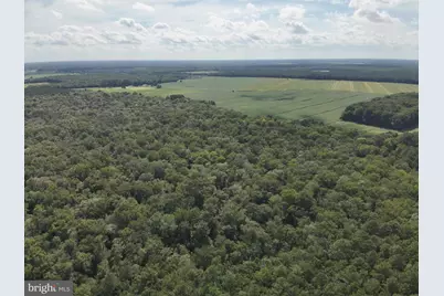 Blueberry Road, Whaleyville, MD 21872 - Photo 21