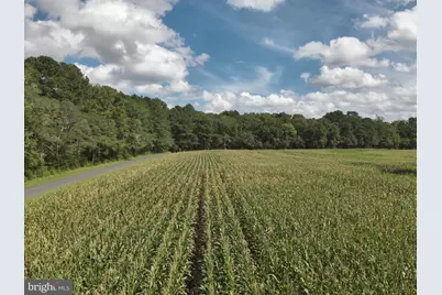 Blueberry Road, Whaleyville, MD 21872 - Photo 41