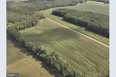 Blueberry Road, Whaleyville, MD 21872 - Photo 15