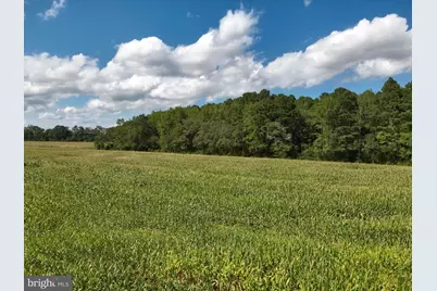 Blueberry Road, Whaleyville, MD 21872 - Photo 43