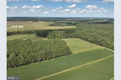Blueberry Road, Whaleyville, MD 21872 - Photo 27