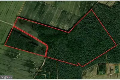 Blueberry Road, Whaleyville, MD 21872 - Photo 1