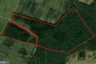 Blueberry Rd, Whaleyville, MD 21872 - Photo 1