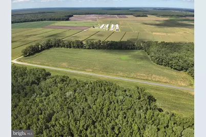 Blueberry Road, Whaleyville, MD 21872 - Photo 31