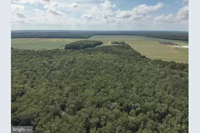 Blueberry Road, Whaleyville, MD 21872 - Photo 19