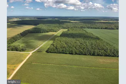 Blueberry Road, Whaleyville, MD 21872 - Photo 11