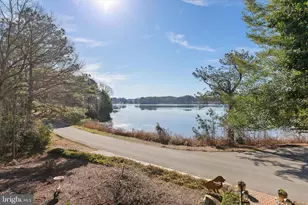 10931 Piney Island Dr, Bishopville, MD 21813 - Photo 93