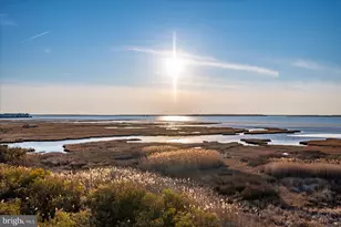 106 83rd St, Ocean City, MD 21842 - Photo 43