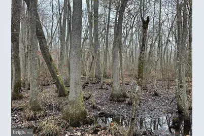 0 Fleming Mill, Pocomoke City, MD 21851 - Photo 9