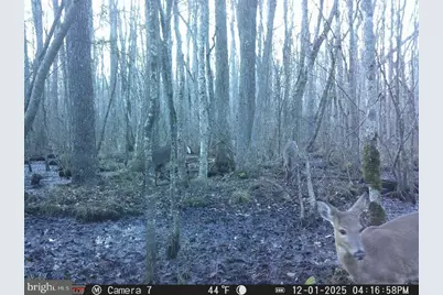 0 Fleming Mill, Pocomoke City, MD 21851 - Photo 23