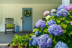 201 Buckingham Rd, Berlin, MD 21811 - Photo 7