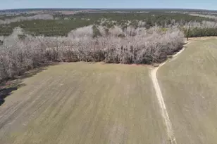 Rt 12, Snow Hill, MD 21863 - Photo 1