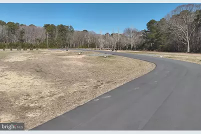 Lot 3 Stephen Decatur, Ocean City, MD 21842 - Photo 9