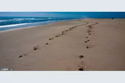 Lot 9 Stephen Decatur Hwy, Berlin, MD 21811 - Photo 15