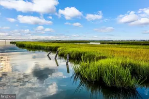 205 125th St, Ocean City, MD 21842 - Photo 51