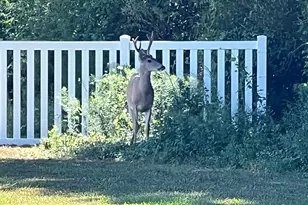8581 N Longboat Way, Berlin, MD 21811 - Photo 95