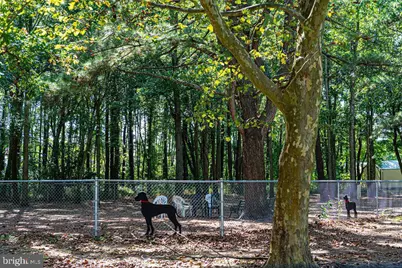 4 Southwind Court, Ocean Pines, MD 21811 - Photo 71