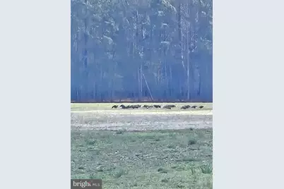 0 Blake Road, Snow Hill, MD 21863 - Photo 29