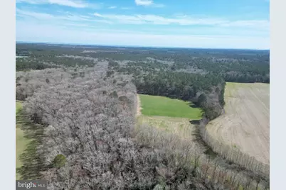0 Blake Road, Snow Hill, MD 21863 - Photo 13