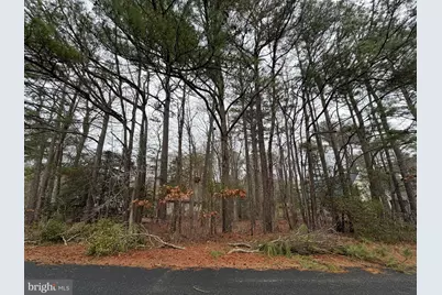 8 Sweet Gum Lane, Ocean Pines, MD 21811 - Photo 3