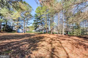 2120 Orchard Dr, Pocomoke City, MD 21851 - Photo 39