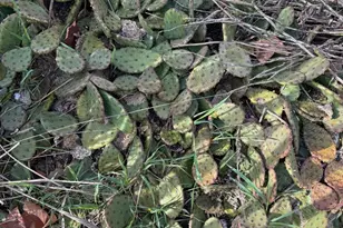 6201 Atlantic Ave, Ocean City, MD 21842 - Photo 87