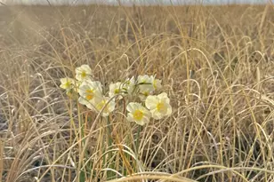 6201 Atlantic Ave, Ocean City, MD 21842 - Photo 23