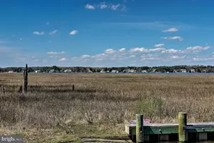 16 Deep Sea Dr, Berlin, MD 21811 - Photo 59