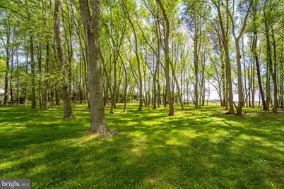 9933 Main Street, Berlin, MD 21811 - Photo 3