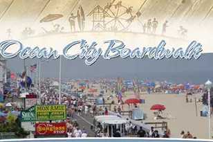 112 Sea Breeze Dr, Ocean City, MD 21842 - Photo 59