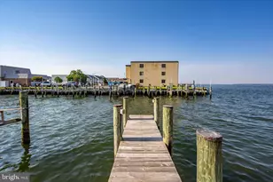 311 S Heron Gull Ct, Ocean City, MD 21842 - Photo 83
