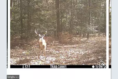 0 Blake Road, Snow Hill, MD 21863 - Photo 35