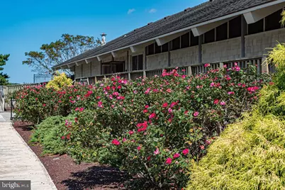 414 Ocean Pkwy, Ocean Pines, MD 21811 - Photo 89