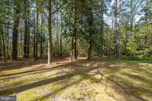 3531 Tall Pines Ln, Snow Hill, MD 21863 - Photo 53