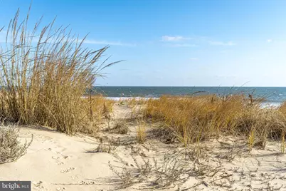 8 121st Street #202A, Ocean City, MD 21842 - Photo 9