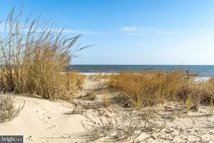 8 121st St, Ocean City, MD 21842 - Photo 9