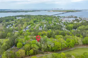 542 Ocean Pkwy, Berlin, MD 21811 - Photo 65