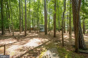 1348 Ocean Pkwy, Berlin, MD 21811 - Photo 47