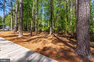 118 Robin Hood Trail, Ocean Pines, MD 21811 - Photo 65
