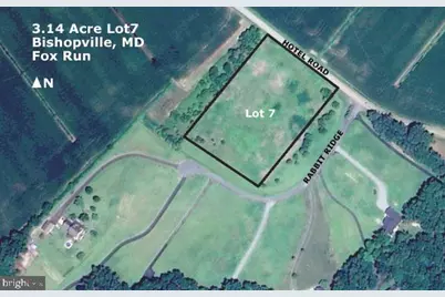 10164 Rabbit Ridge Road, Bishopville, MD 21813 - Photo 9