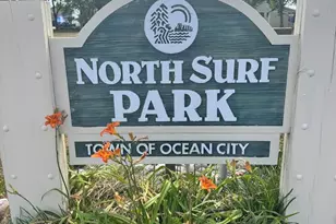 704 N Surf Rd, Ocean City, MD 21842 - Photo 71