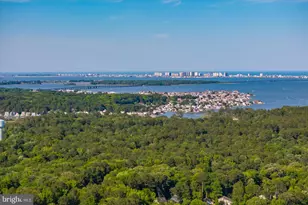 75 King Richard Rd, Berlin, MD 21811 - Photo 69