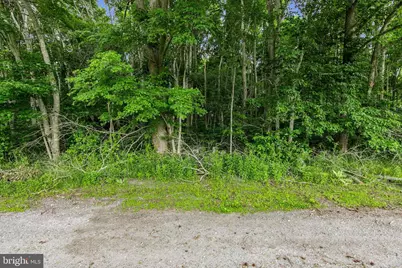 Lots 3 & 4 Bell Lane, Whaleyville, MD 21872 - Photo 3