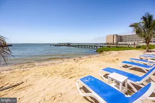 4603 Coastal Hwy, Ocean City, MD 21842 - Photo 45