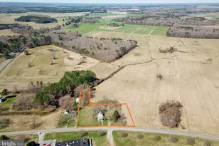 10037 Main St, Berlin, MD 21811 - Photo 3